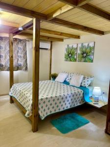 Mano JuanCasa Mano Juan的一间卧室配有一张带木篷的床