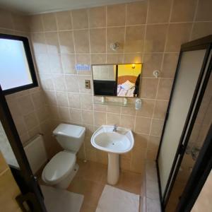 波韦尼尔Hotel Yagan Porvenir的一间带卫生间和水槽的浴室