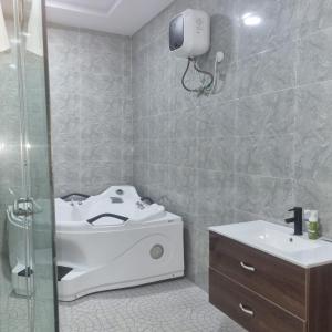 拉各斯The Residenze Adeniyi Jone Ikeja的一间带水槽、卫生间和淋浴的浴室