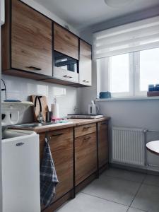 格涅兹诺Mieszkanie Turkus w Gnieźnie的一个带木制橱柜和水槽的厨房