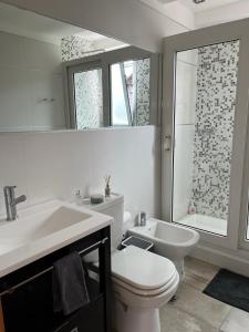 乌斯怀亚Campos de Ushuaia的一间带卫生间、水槽和镜子的浴室