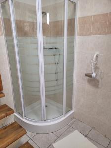 斯潘尼亚多利纳克罗佩克旅馆的浴室里设有玻璃门淋浴