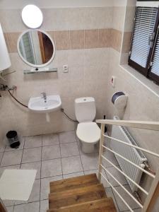 斯潘尼亚多利纳克罗佩克旅馆的一间带卫生间、水槽和镜子的浴室