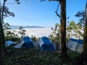 蒙纳Cloud Camping.的森林中的一组帐篷,享有风景