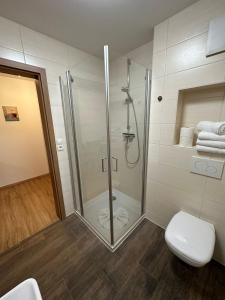 鲁斯特玛丽安娜膳食公寓酒店的一间带玻璃淋浴和卫生间的浴室