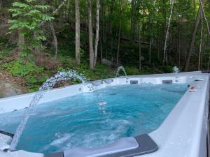 圣阿黛拉Luxury St-Sauveur Chalet with Swim Spa Close to Ski的热水浴池,树林中设有喷泉