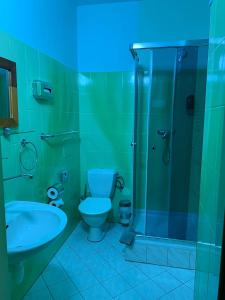 布拉格维克多酒店的带淋浴、卫生间和盥洗盆的浴室