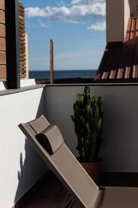 蒙特加特Atico Duplex Playa Area Barcelona con SPA exterior的一只仙人掌坐在窗边的树 ⁇ 上