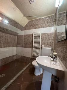 诺瓦齐- 斯特拉尼CONACUL DE SUB MUNTE的一间带水槽、卫生间和镜子的浴室