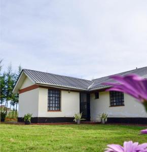 埃尔多雷特ELDORET STAYS的白色的房子,前面有紫色风筝