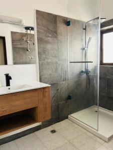 科托努Cocoon Guest House的一间带水槽和淋浴的浴室