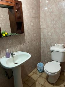 安加罗阿Hare o Koro (Ex Vai Kapua)的一间带卫生间和水槽的浴室