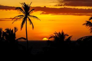 路易斯科雷亚Carnaubinha Praia Resort的棕榈树海滩上的日落