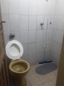佩鲁伊比Pousada do Toninho的一间带卫生间和淋浴间的浴室