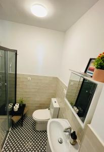 阿洛拉Apartamento La Parra的一间带卫生间和水槽的浴室