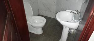 BusiaPals Inn的一间带卫生间和水槽的浴室
