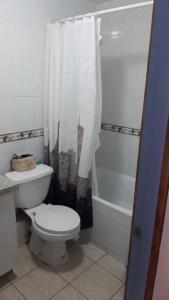 特木科Departamento 2 Dormitorios 5 personas, excelente ubicacion的白色的浴室设有卫生间和淋浴。