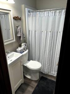 New AlbinThe Great River Retreat的一间带卫生间和淋浴帘的浴室