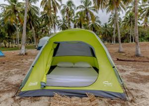 圣玛尔塔CASA DE CAMPO CASTILLETE dentro del PARQUE TAYRONA的棕榈树海滩上的绿色帐篷