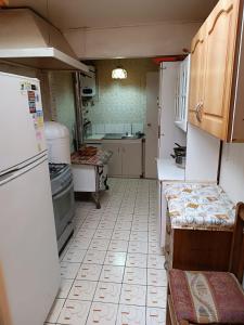 奥索尔诺Cómoda Casa en sector residencial Osorno的一间带冰箱和水槽的小厨房