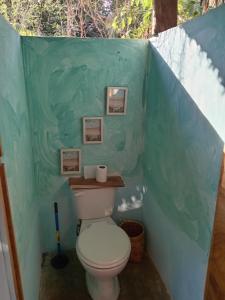 El Paredón Buena VistaEl Puente的浴室设有蓝色墙壁内的卫生间