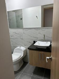 图卢阿Hospedaje LIZ的一间带卫生间、水槽和镜子的浴室