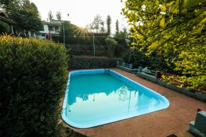VayittiriHill Rows Estate的游泳池位于带阳光的庭院