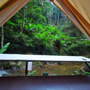 Ban Pok NaiThe camp Maekampong的从帐篷内欣赏森林美景