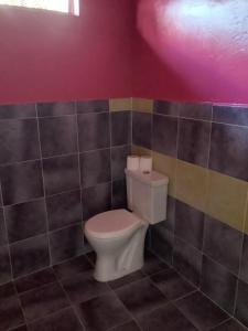 努库希瓦CHEZ ALIZHIA的一间位于客房内的白色卫生间的浴室