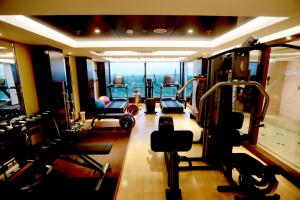 瓦拉纳西马丁酒店的一间健身房,内设有氧运动器材