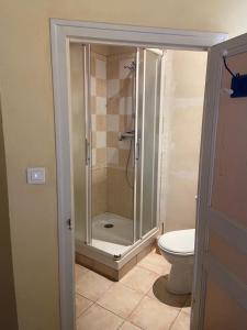 布尔圣昂代奥Domaine de Cousignac的带淋浴和卫生间的浴室