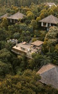 姆杜克Munduk Cabins的享有丛林的空中景致,拥有房屋和树木