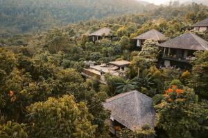 姆杜克Munduk Cabins的丛林中度假村的空中景观
