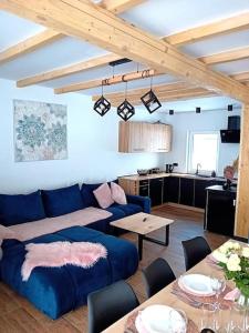 耶莱希尼亚Domek u Anitki i Nikosia的一间带蓝色沙发的客厅和一间厨房