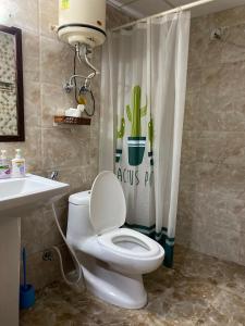 大诺伊达Aqua Inn - Studio Apartment的浴室配有白色卫生间和盥洗盆。