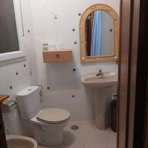 洛索亚河畔加尔甘蒂利亚Casa en Pinilla de Buitrago的一间带卫生间、水槽和镜子的浴室
