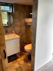 德拉赫滕B&B Bijzonder的一间带卫生间、水槽和镜子的浴室