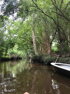 蒂格雷Isla Curubica的一条长满树木的河上小船