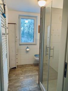 Forsthaus am Waldrand的一间带卫生间和窗户的浴室