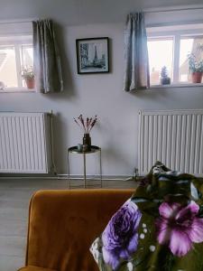 VledderDe Lindehoeve Appartement de Deel的带沙发和2扇窗户的客厅