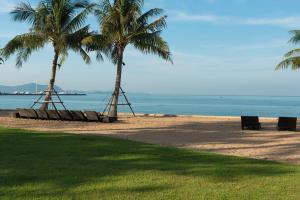 纳仲天ไวท์ แซนด์ บีช เรสซิเดนซ์ พัทยา(White Sand Beach Residences Pattaya)的两棵棕榈树和长椅,在海滩上