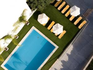 赫索尼索斯Sergios Hotel的享有带躺椅的游泳池的顶部景致