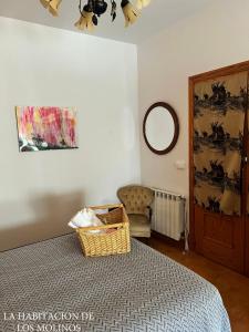 莫塔德尔库埃尔沃Habitacion de los molinos的一间卧室配有一张床、一把椅子和镜子