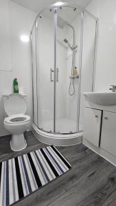 奥尔德伯里Spacious Double Bedroom with Private Toilet and Shared Kitchen with on premesis parking的带淋浴、卫生间和盥洗盆的浴室