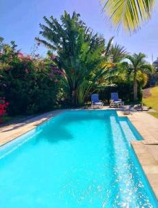 CalodyneLittle Africa的一个带两把椅子和棕榈树的大型蓝色游泳池