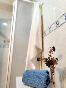 RasqueraCasa de Danann的浴室提供毛巾和植物花瓶