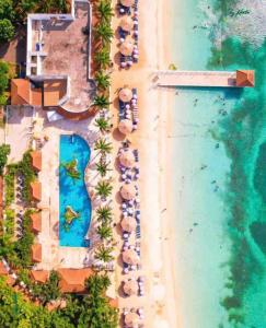 迪斯卡弗里贝Oceanview Jamaica的享有海滩上方的遮阳伞和海洋美景