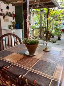 邦比尼亚斯Casa Mico Leão Dourado的上面有盆栽的桌子