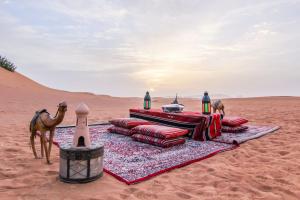 斋沙默尔Khamma Ghani Jaisalmer的沙漠中的毯子,带骆驼和帐篷