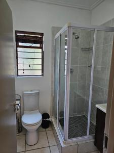 SandtonPremium Apartment In Fourways的一间带卫生间和淋浴的浴室